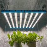 Kingbrite x55 650W BAR Grow Light with UV+IR |Samsung LM281B - Image 4